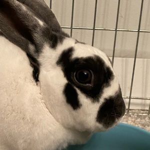 Meet your Posher, Kristy